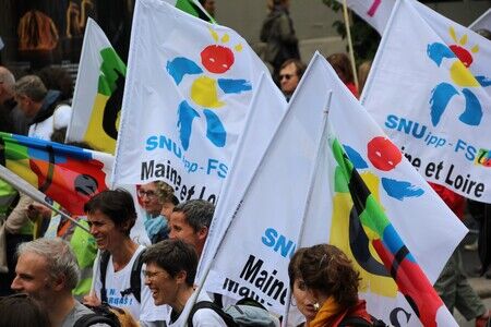 Manif%20drapeaux