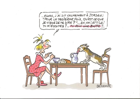 Brizemur autorité