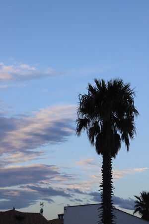 1 Img 5401