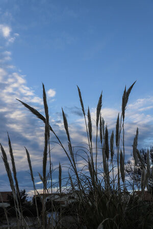 7 Img 5402