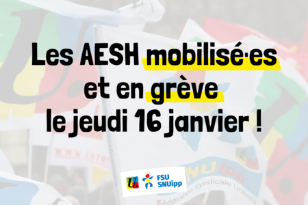 Aesh16