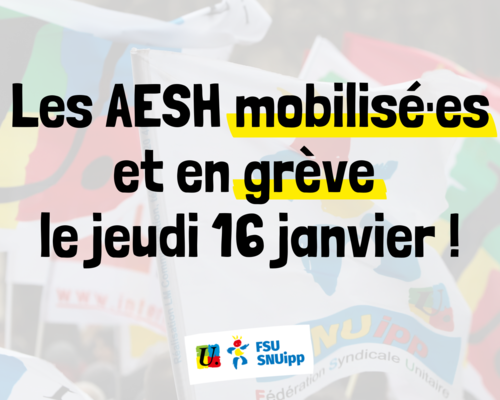 Aesh16