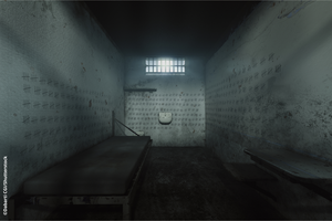 Soci%c3%a9t%c3%a9%20%20jeunesse%20incarc%c3%a9r%c3%a9e